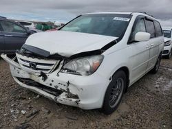 Honda Odyssey salvage cars for sale: 2006 Honda Odyssey Touring