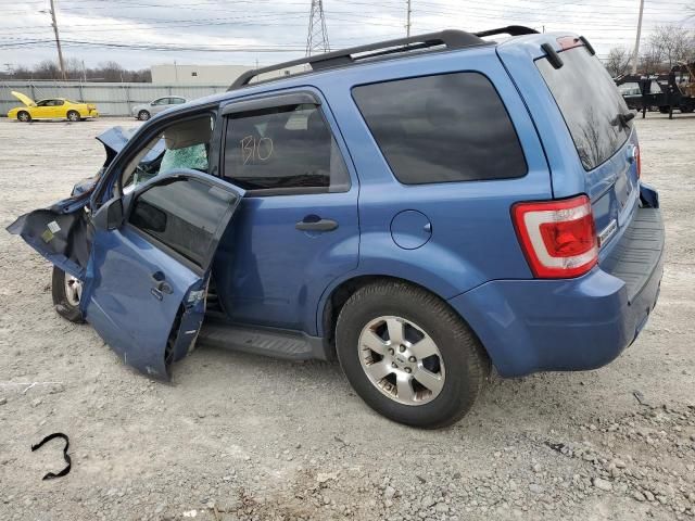 2009 Ford Escape XLT