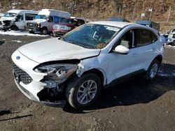 Salvage cars for sale at Marlboro, NY auction: 2021 Ford Escape SE