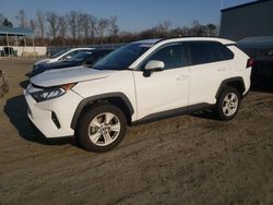 Salvage cars for sale at Spartanburg, SC auction: 2019 Toyota Rav4 XLE