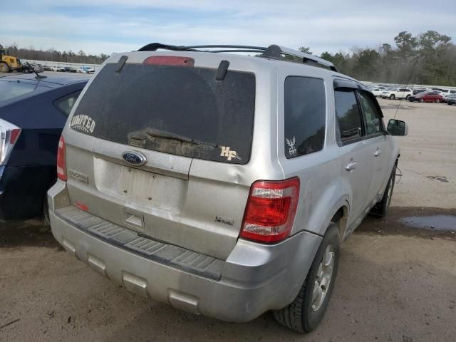 2011 Ford Escape Limited