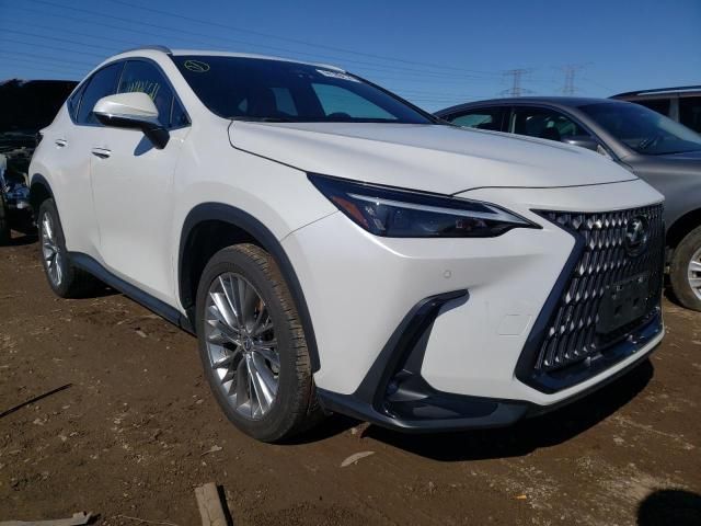 2022 Lexus NX 350H