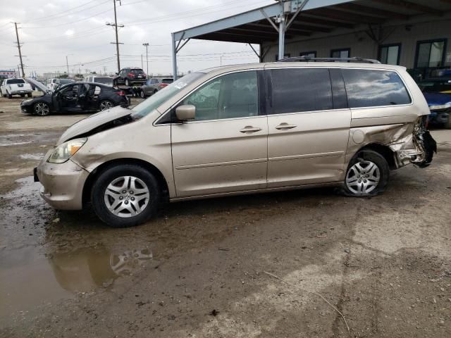 2005 Honda Odyssey EX