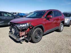 Salvage cars for sale at Vallejo, CA auction: 2019 Toyota Rav4 LE