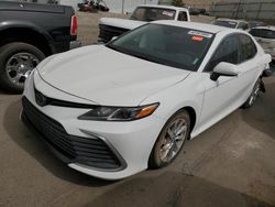 Salvage cars for sale from Copart Albuquerque, NM: 2023 Toyota Camry LE