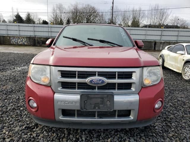 2010 Ford Escape Limited