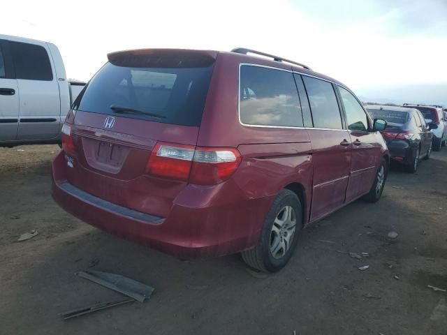 2006 Honda Odyssey EXL