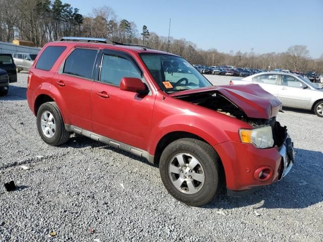 2010 Ford Escape Limited