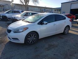 Salvage cars for sale at Albuquerque, NM auction: 2014 KIA Forte LX