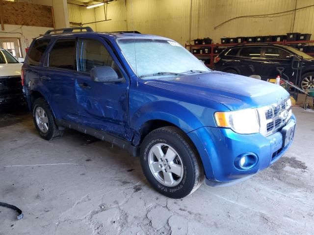 2012 Ford Escape XLT