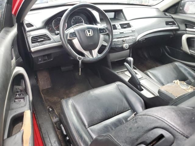 2009 Honda Accord EXL