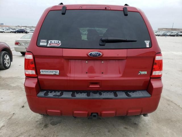 2011 Ford Escape XLT