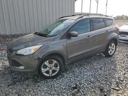 Ford Escape SE salvage cars for sale: 2013 Ford Escape SE