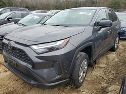 Salvage cars for sale at Seaford, DE auction: 2023 Toyota Rav4 LE