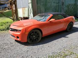Salvage Cars with No Bids Yet For Sale at auction: 2011 Chevrolet Camaro LT