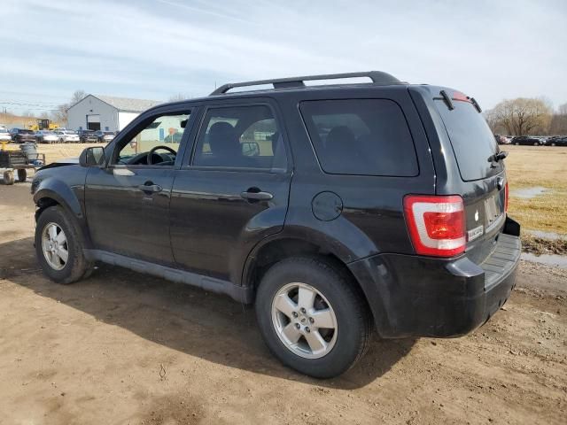 2012 Ford Escape XLT