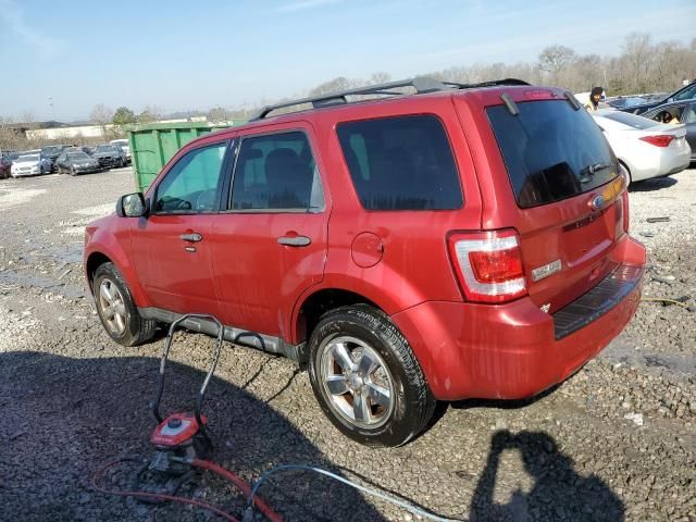 2012 Ford Escape XLT