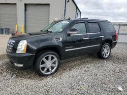 Cadillac Escalade salvage cars for sale: 2010 Cadillac Escalade Premium