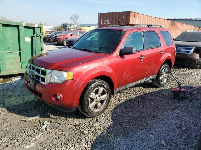 2012 Ford Escape XLT