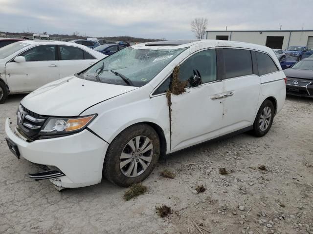 2014 Honda Odyssey EXL