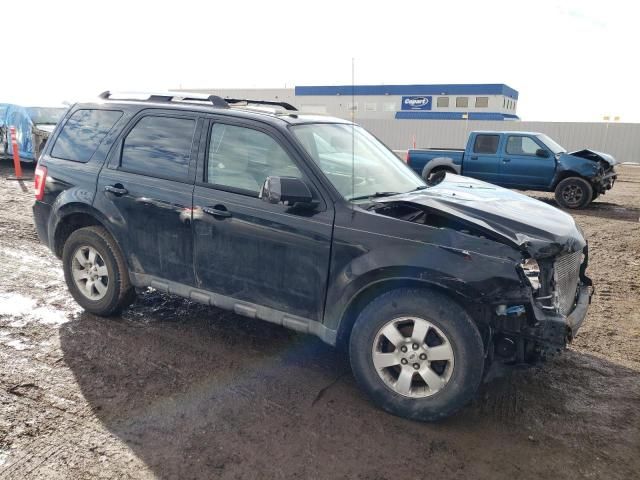 2010 Ford Escape Limited