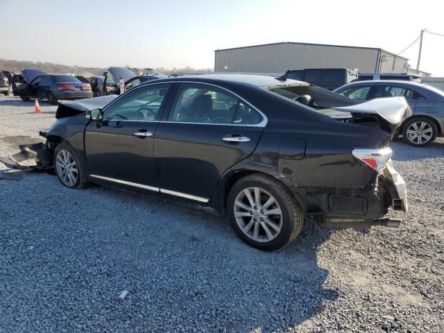 2010 Lexus ES 350