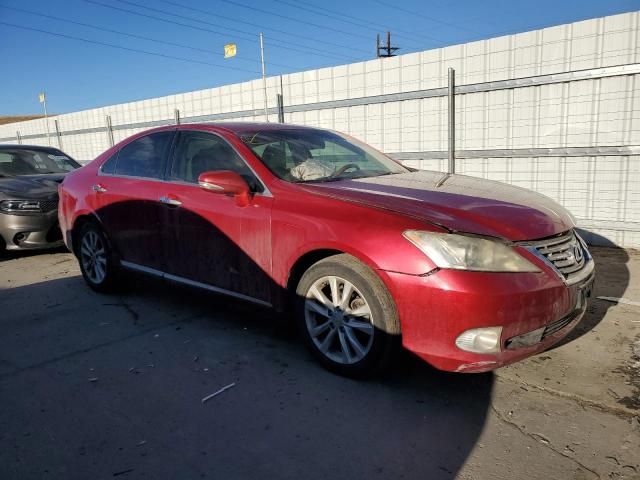 2010 Lexus ES 350