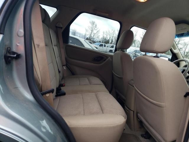 2005 Ford Escape XLT