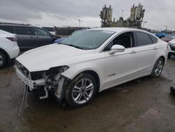 Salvage cars for sale from Copart San Diego, CA: 2016 Ford Fusion Titanium HEV