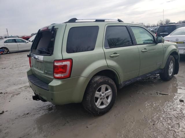 2008 Ford Escape HEV