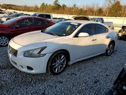 Nissan Maxima S salvage cars for sale: 2011 Nissan Maxima S