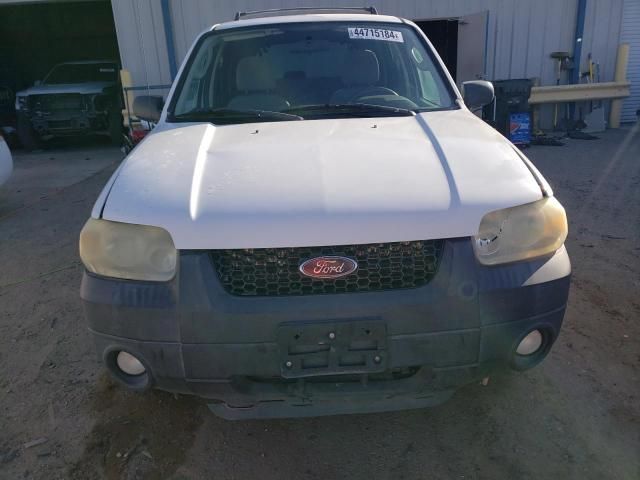 2007 Ford Escape XLT