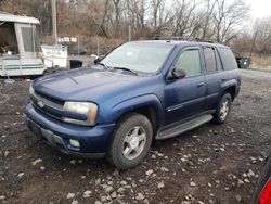 Salvage cars for sale at Marlboro, NY auction: 2004 Chevrolet Trailblazer LS