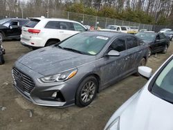 Salvage cars for sale from Copart Waldorf, MD: 2019 Hyundai Sonata SE