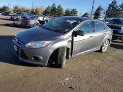 Ford Focus SE salvage cars for sale: 2014 Ford Focus SE