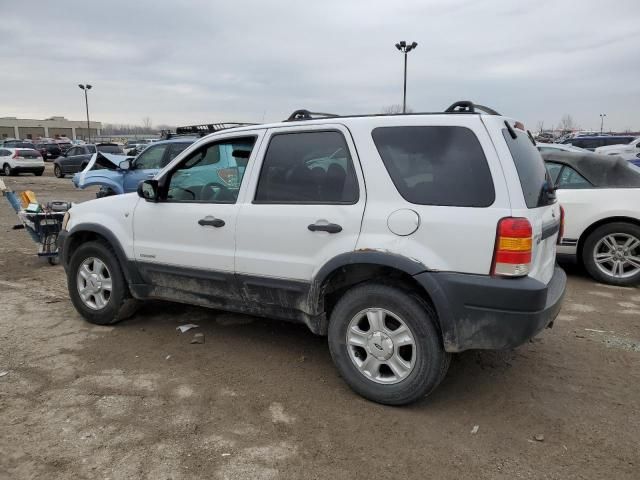 2001 Ford Escape XLT