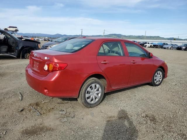 2010 Toyota Corolla Base