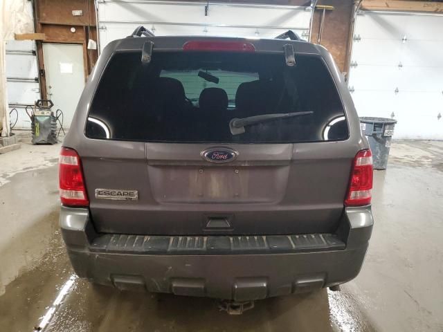 2010 Ford Escape XLT