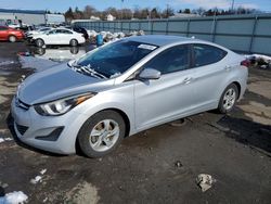 2015 Hyundai Elantra SE for sale in Pennsburg, PA