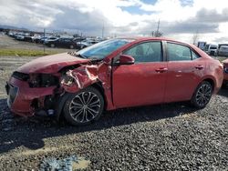 Toyota Corolla salvage cars for sale: 2014 Toyota Corolla L