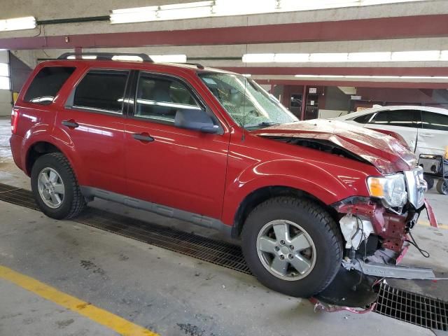 2010 Ford Escape XLT