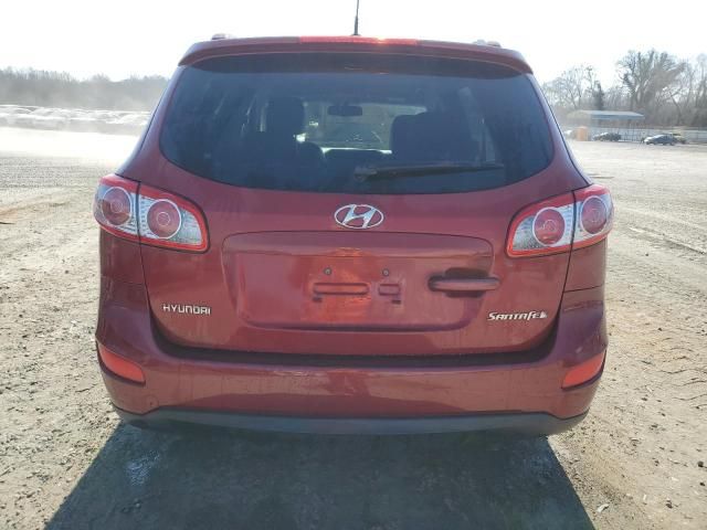 2010 Hyundai Santa FE SE