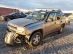 2006 Chevrolet Trailblazer LS