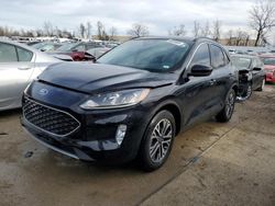 Salvage cars for sale at Bridgeton, MO auction: 2020 Ford Escape SEL