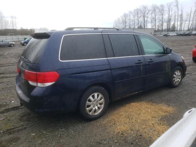 2008 Honda Odyssey EXL