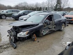 Nissan Maxima S Vehiculos salvage en venta: 2012 Nissan Maxima S