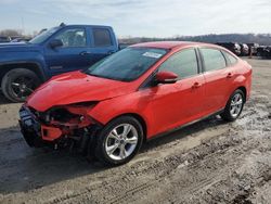 Ford Focus salvage cars for sale: 2013 Ford Focus SE