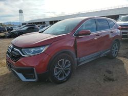 Salvage cars for sale at Phoenix, AZ auction: 2021 Honda CR-V EX