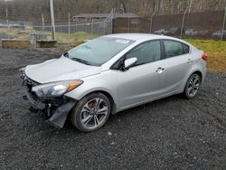 Salvage cars for sale at Finksburg, MD auction: 2014 KIA Forte EX