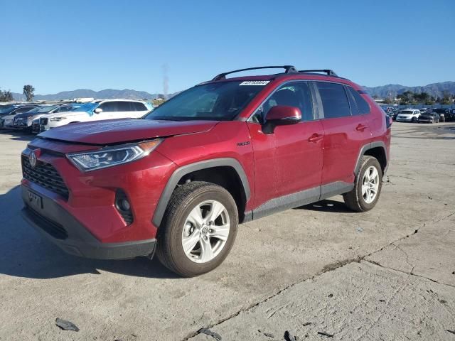 2021 Toyota Rav4 XLE